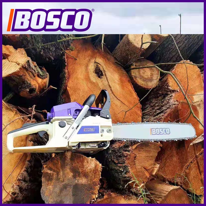 ibosco.vn